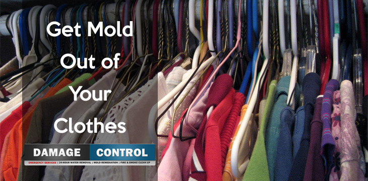 How to Get Mold Out of Clothes Damage Control 911