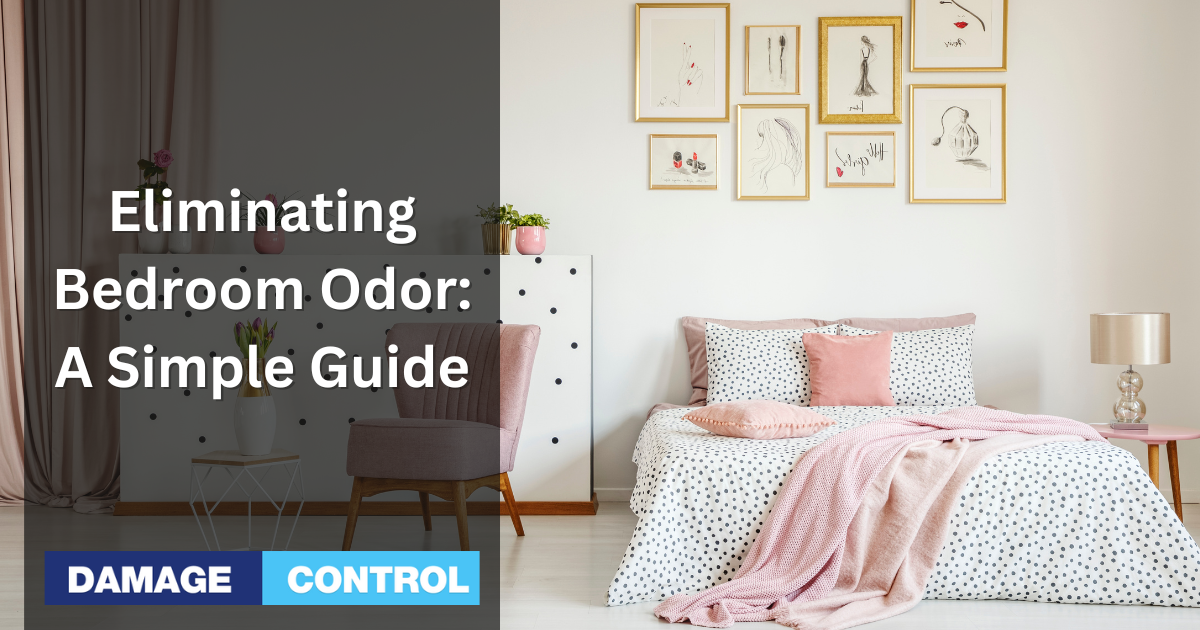 How To Get Rid Of Odor In Bedroom