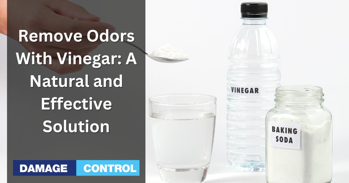 How to Remove Odors With Vinegar A Natural Solution