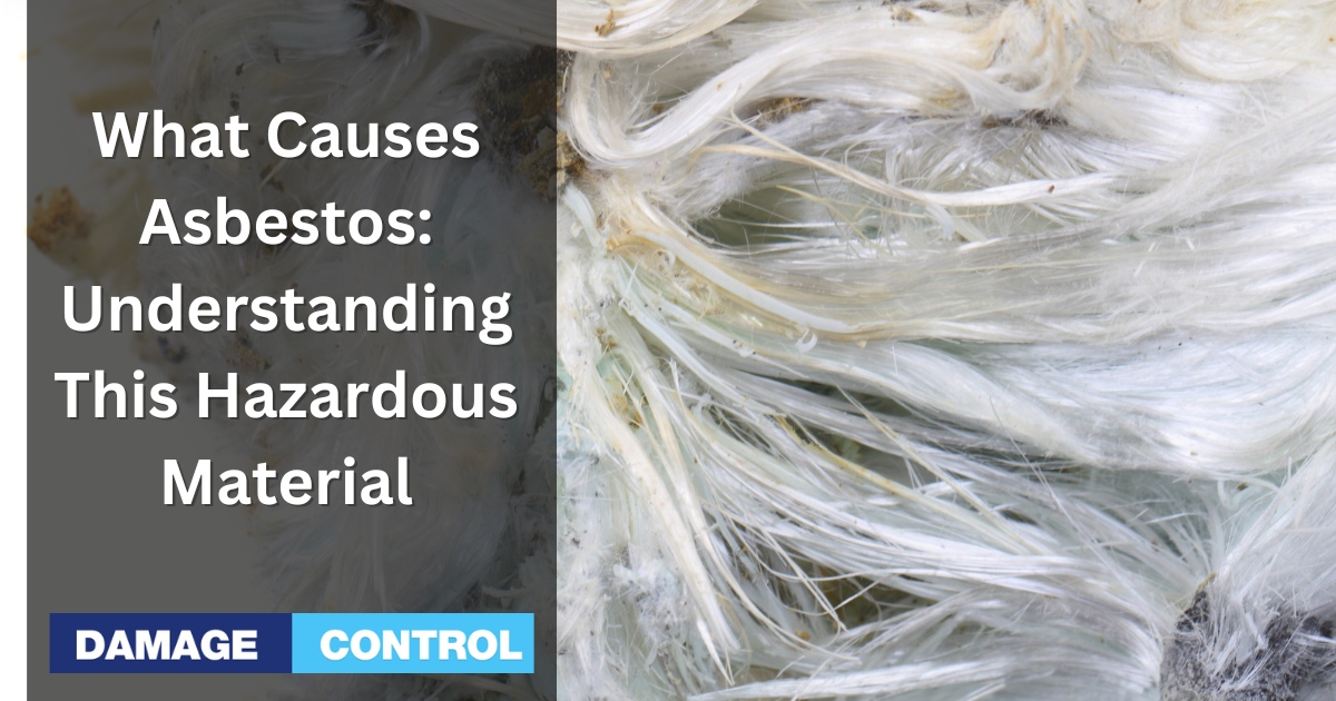 Tracing the Roots: Understanding the Origins of Asbestos