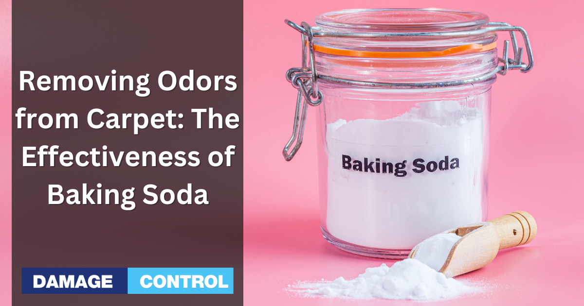 how-to-remove-odors-from-carpet-using-baking-soda