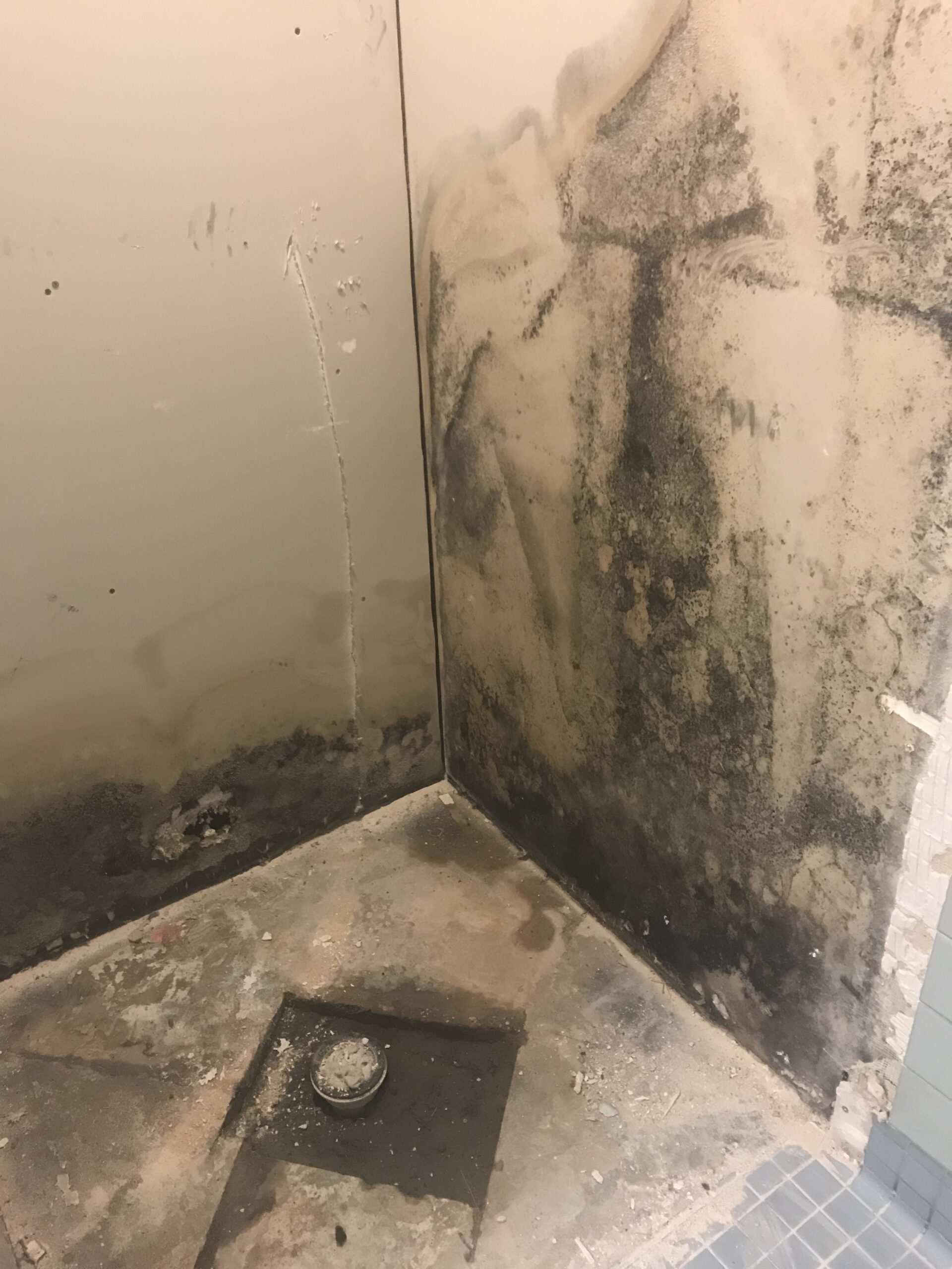 What Does Black Mold Look Like A Complete Guide To Identifying   Black Mold That Was Hidden Between The Shower And The Walls. Scaled 