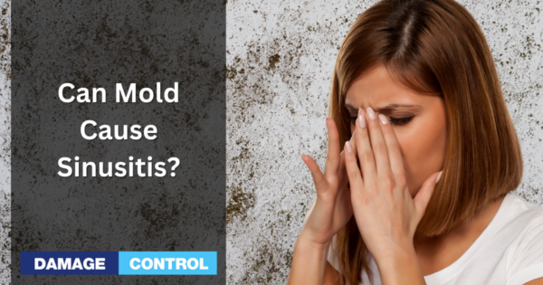 Can Mold Cause Sinus Infections Damage Control