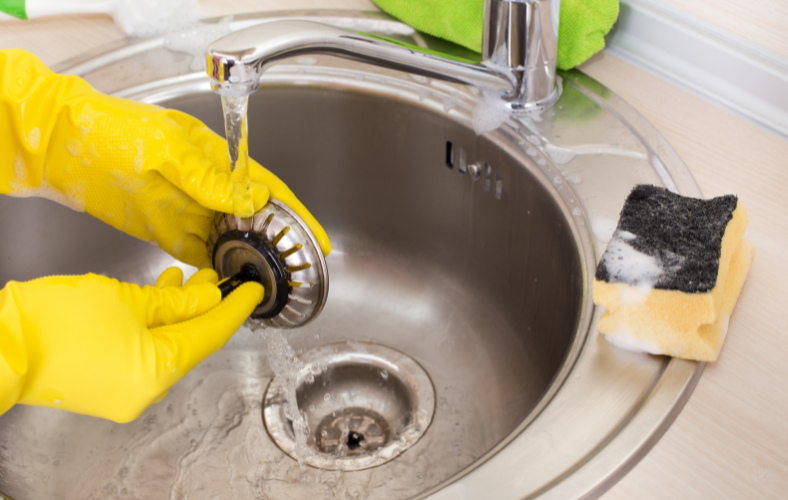 How to Remove Black Mold in Sink Drains Effectively