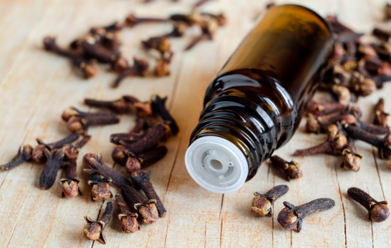 clove oil