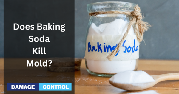 does-baking-soda-really-kill-mold-separating-truth-from-fiction