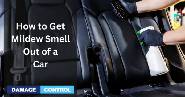 How To Get Mildew Smell Out Of A Car