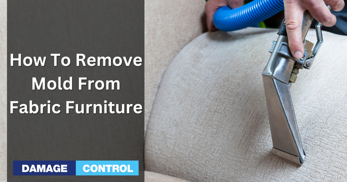 how-to-remove-mold-from-fabric-furniture-3-diffe-ways