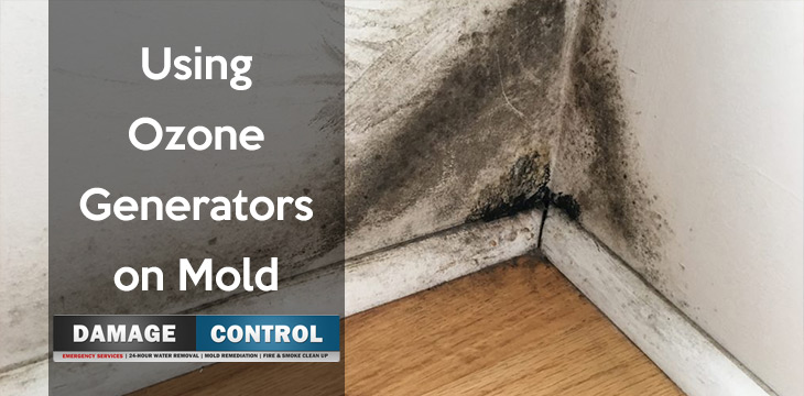 Do Ozone Generators Kill Mold And How Do I Use It Properly