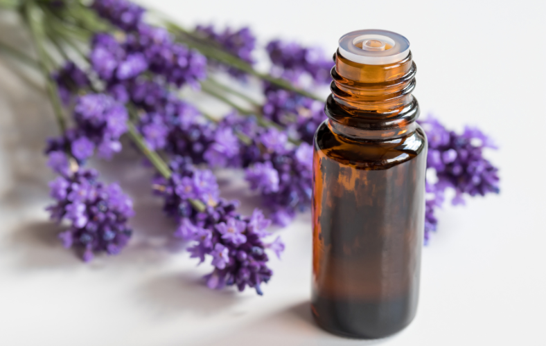 lavender oil