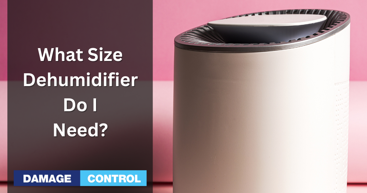 what size dehumidifier do i need