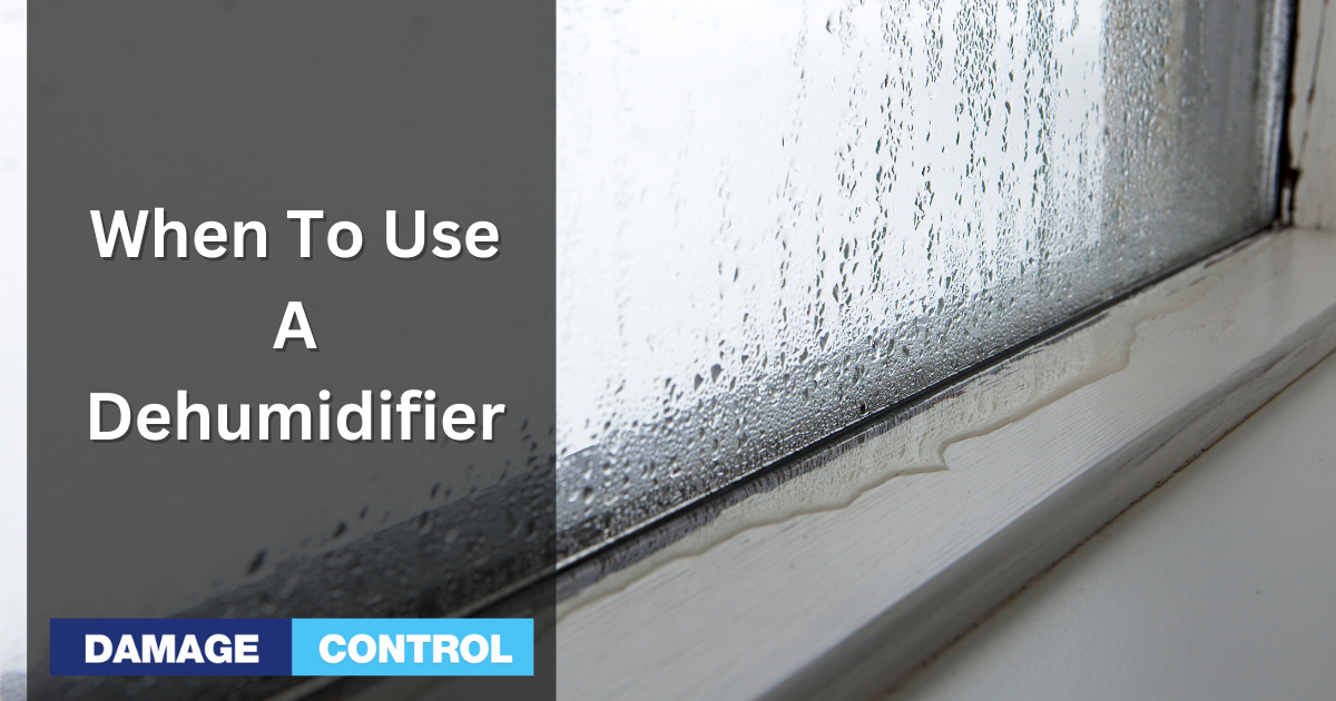 when to use a dehumidifier