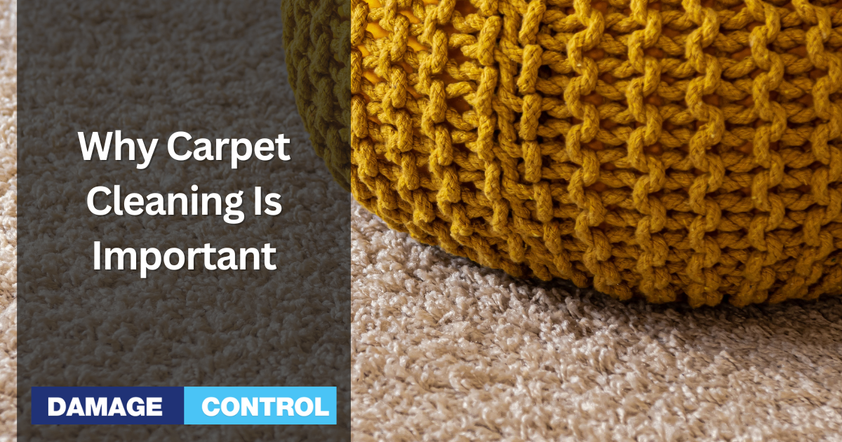 Why Carpet Cleaning is Important